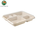 Bagasse Food Box Biologisch abbaubare Lebensmittelbehälter Lunchbox